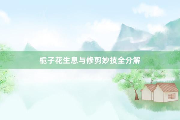 栀子花生息与修剪妙技全分解