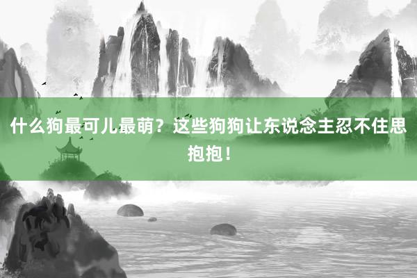 什么狗最可儿最萌？这些狗狗让东说念主忍不住思抱抱！
