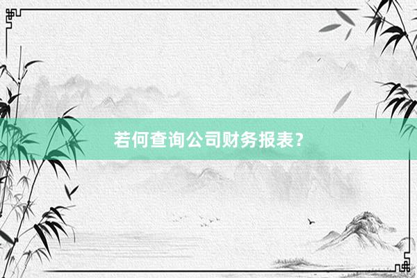 若何查询公司财务报表?